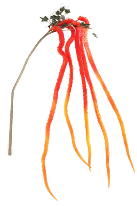 Yapay Çiçek Deposu - Yapay Sarkan Amarantus (Amaranthus) 150cm Turuncu