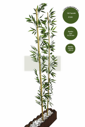 Yapay Çiçek Deposu - Gerçek Bambu Yapay Yeşil Yapraklı 200 cm
