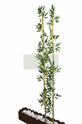 Gerçek Bambu Yapay Yeşil Yapraklı 200 cm - Thumbnail