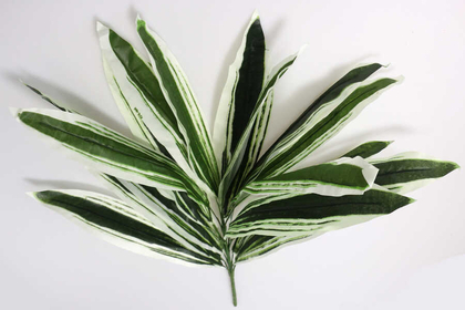 Yapay Süs Dekor Bitkisi Neoregelia Carolinae 80 cm Yeşil-Beyaz - Thumbnail