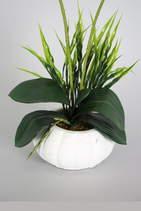 Dekoratif 2li Mini Yapay Islak Orkide Tanzimi 50 cm Beyaz Benekli - Thumbnail