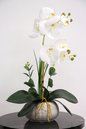 Dekoratif 2li Mini Yapay Islak Orkide Tanzimi Beyaz 45 cm - Thumbnail