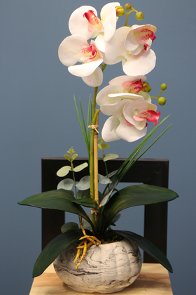 Dekoratif 2li Mini Yapay Islak Orkide Tanzimi Beyaz-Pembe 45 cm - Thumbnail