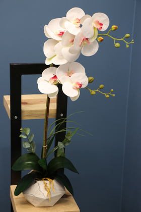 Dekoratif 2li Nismo Yapay Islak Orkide Tanzimi Beyaz-Pembe 65 cm - Thumbnail