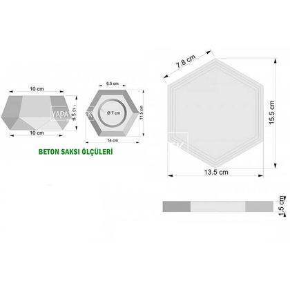 Beton Saksıda Altlıklı Pudralı İri Lavanta Seti Beyaz - 2