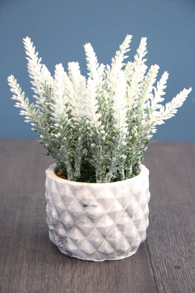 Yapay Çiçek Deposu - Tırtıklı Beton Saksıda Yapay Lavanta Tanzimi 20 cm Beyaz