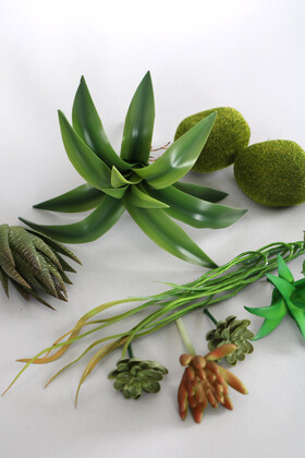 Yapay Succulent Sukulent Set - 16 - 3