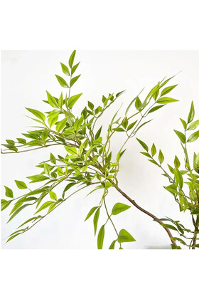 Yapay Ağac Wisteria (Akasya) Bitkisi 2 Dallı 105 cm (Saksısız) Yeşil - 7