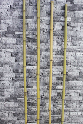 Doğal Gerçek Bambu 230 cm - Yapay Çiçek Deposu