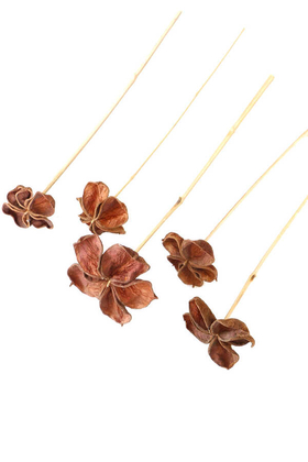 Yapay Çiçek Deposu - Dekoratif Doğal Land Lotus 48 cm Bambu Çubuklu 5 Adet