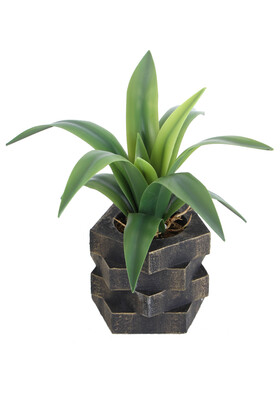 Ahşap Çark Model Saksıda Yapay Sukulent 17 cm - 3