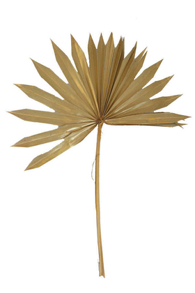 4lü Kuru Tropic Palmiye Yaprağı 40 cm Gold - Thumbnail