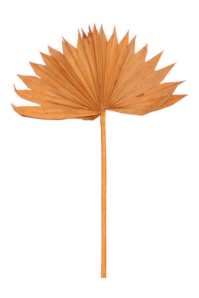 Yapay Çiçek Deposu - Kuru Tropic Palmiye Yaprağı 40 cm Turuncu