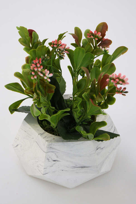 Yapay Çiçek Deposu - Mermer Görünümlü Beton Saksıda Kalanşo Çiçeği (Kalanchoe) Pembe