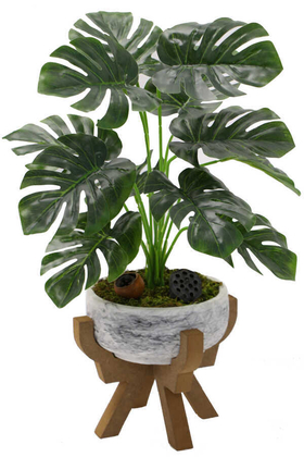 Ahşap Ayaklı Beton Saksida Yapay Monstera Bitkisi 44 cm(Beyaz Saksı) - Yapay Çiçek Deposu