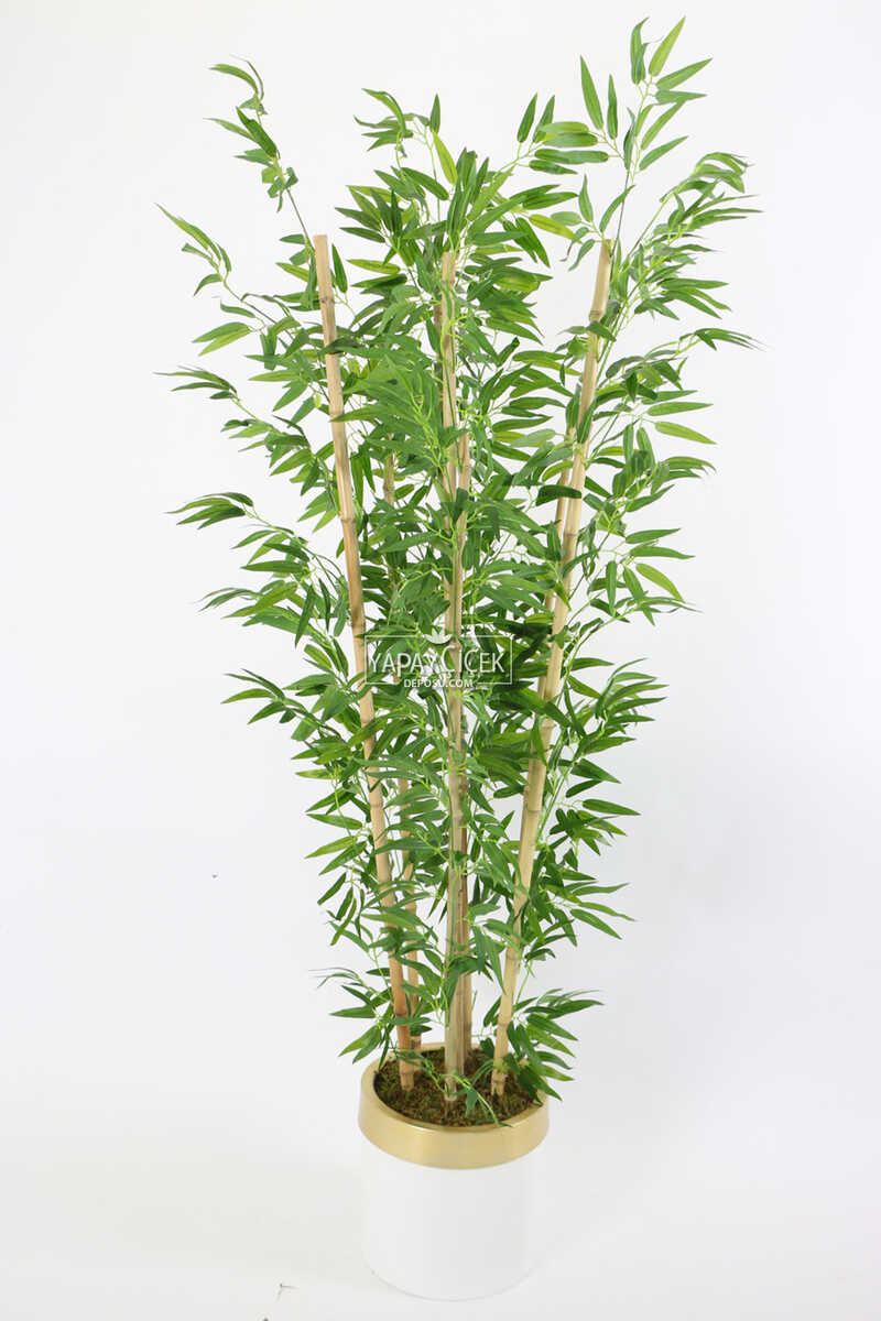 Metal Galvaniz Saksıda Yapay Bambu Ağacı 7 Gövde 180 Cm (beyaz-gold)