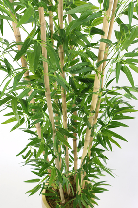 Metal Galvaniz Saksıda Yapay Bambu Ağacı 7 Gövde 180 cm (Beyaz-Gold) - Thumbnail