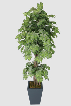 Yapay Çiçek Deposu - Yapay Ağaç Çınar Yapraklı Akçaağaç 170 cm Gri Yeşil