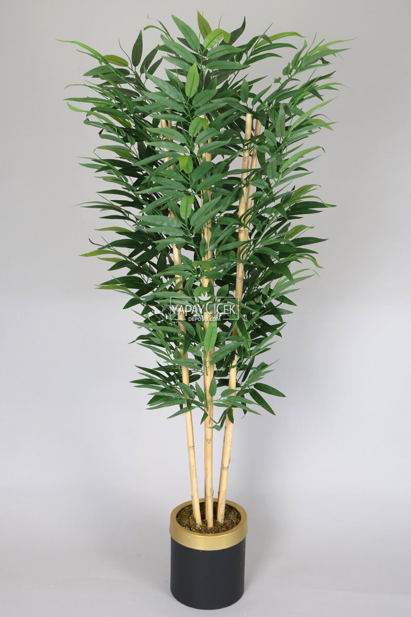 Metal Siyah Gold Saksıda Yapay Bambu Ağacı Premium İri Yapraklı 175 cm