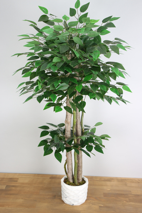 Yapay Benjamin Ağacı 105 cm - 1