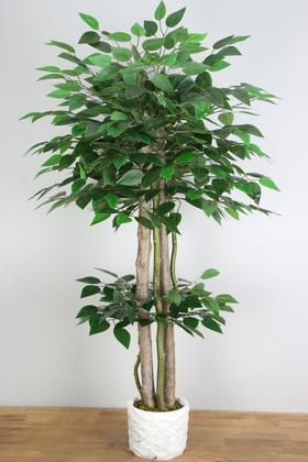 Yapay Benjamin Ağacı 105 cm - 2