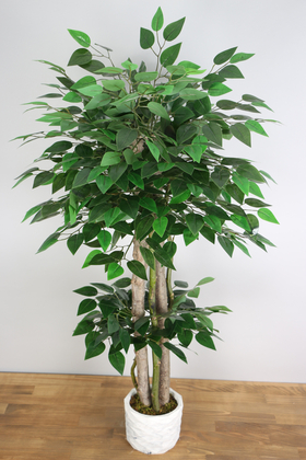 Yapay Benjamin Ağacı 105 cm - 3