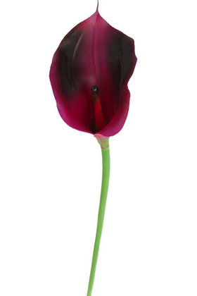 Yapay Çiçek Deposu - Yapay Islak Tek Dal Dev Gala Çiçeği 70 cm Mürdüm