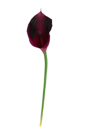Yapay Islak Tek Dal Dev Gala Çiçeği 70 cm Mürdüm - Thumbnail