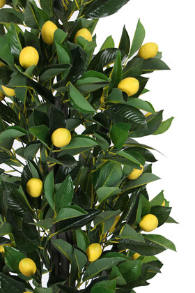 Yapay Limon Ağacı Ahsap Siyah-Gold Saksıda 150 cm - 2