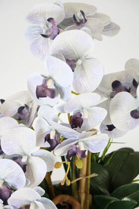 Oval Renkli Ahşap Saksıda 3 Dal Orkide Aranjmanı 55 cm Gri Mor - Thumbnail