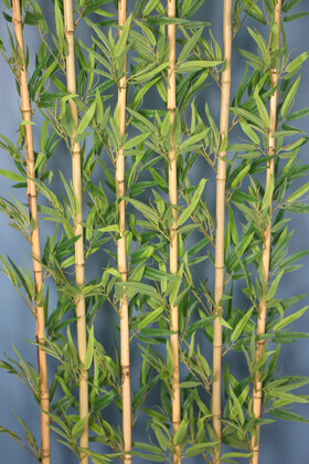 Kırçıllı Yaprak 6 Çubuklu Gri Saksıda Bambu Seperatör (20x70x200cm) - Thumbnail