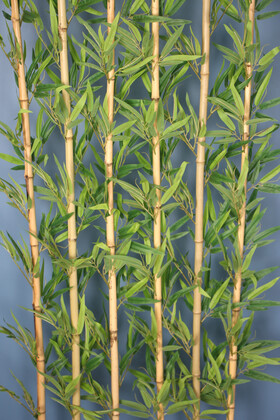 Kırçıllı Yaprak 6 Çubuklu Gri Saksıda Bambu Seperatör (20x70x200cm) - 4