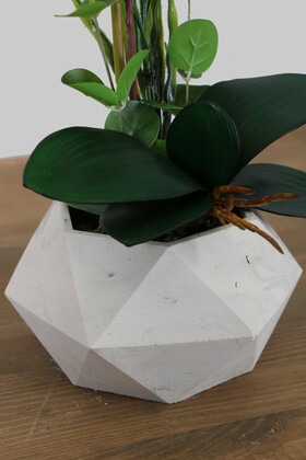 Beton Saksıda Yapay Baskılı Islak Orkide 55 cm Fuşya Çizgili - Thumbnail