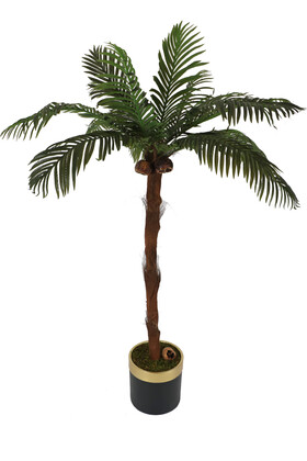 Büyük Metal Saksıda Dev Palmiye Ağacı 220 cm 14 Yapraklı - Thumbnail