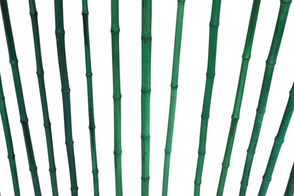 Doğal Bambu Çubuğu Yeşil Boyalı - Thumbnail