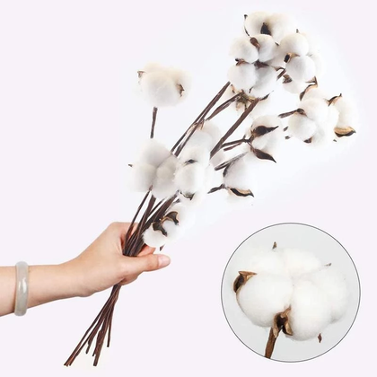 10lu Pamuk Dalı 35 cm İthal - 4