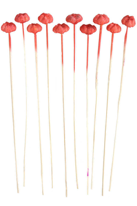 Yapay Çiçek Deposu - 10lu Paras Ped Bleach on Stem 45 cm Nar Çiçeği