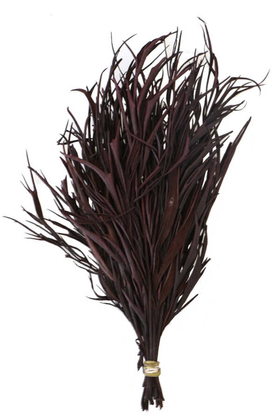 Yapay Çiçek Deposu - Dekoratif Kurutulmuş Kahverengi Mini Bitki 20 cm Gavellia Leaves