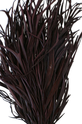 Dekoratif Kurutulmuş Kahverengi Mini Bitki 20 cm Gavellia Leaves - Thumbnail