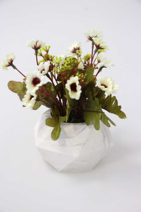 Yapay Çiçek Deposu - Tombul Beton Saksıda Bahar Papatyası Beyaz