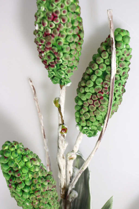 Exclusive Tropik Meyveli İri Yapraklı Egzotik 3 Lü Uzun Dal 85 cm Kızıl Yeşil - Thumbnail