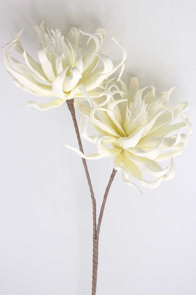Yapay Çiçek Deposu - Exclusive Yapay Çiçek Saçaklı İri Kafa Uzun Dal 95 cm Kırık Beyaz