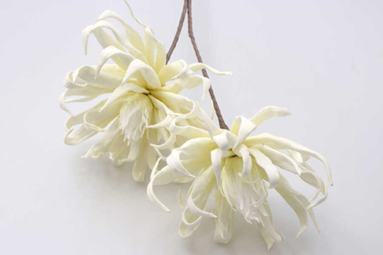 Exclusive Yapay Çiçek Saçaklı İri Kafa Uzun Dal 95 cm Kırık Beyaz - Thumbnail