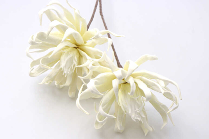 Exclusive Yapay Çiçek Saçaklı İri Kafa Uzun Dal 95 cm Kırık Beyaz - Thumbnail