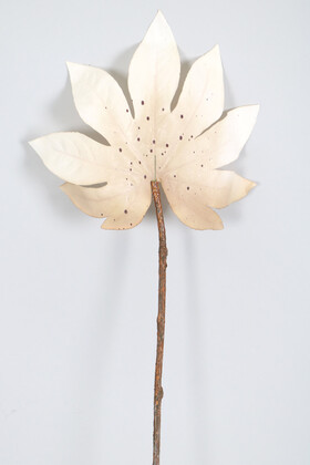 Yapay Büyük Tek Dal Japon Çınarı Yaprağı 73 cm Pastel Krem - Thumbnail