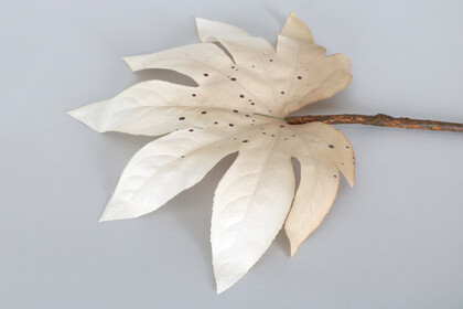 Yapay Büyük Tek Dal Japon Çınarı Yaprağı 73 cm Pastel Krem - Thumbnail