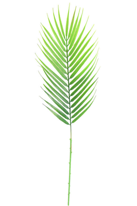 Yapay Çiçek Deposu - Yapay Fenix Hurma Ağacı Yaprağı Feniks 70 cm Islak Dokulu