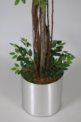 Paslanmaz Çelik Saksıda Yapay Benjamin Ağacı (Ficus benjamina) 180 cm - 3