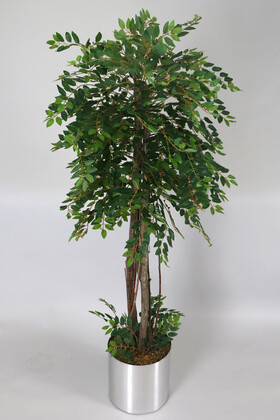 Paslanmaz Çelik Saksıda Yapay Benjamin Ağacı (Ficus benjamina) 180 cm - 1