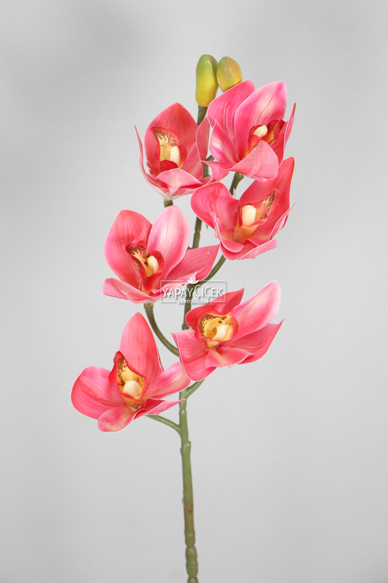 Yapay Islak Dokulu Premium Singapur Orkide Çiçeği 72 cm Fuşya